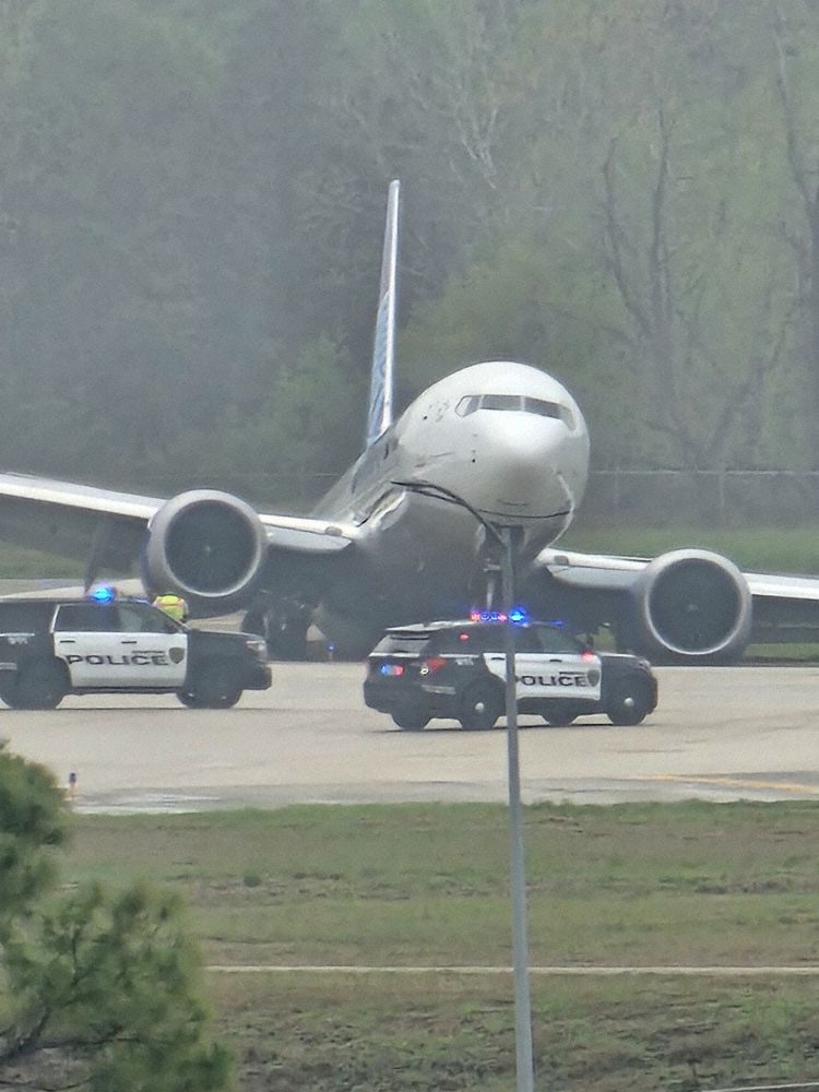 Ground observer photo (Photo: Jonathan Meer)
