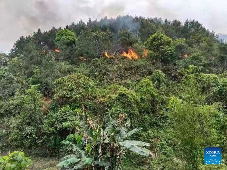 Crash site seen from the ground (Photo: China's Ministry of Defense)