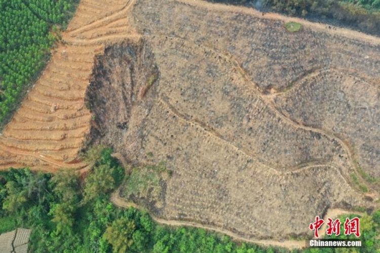 Crash site seen by China News Agency reporter Chen Guanyan