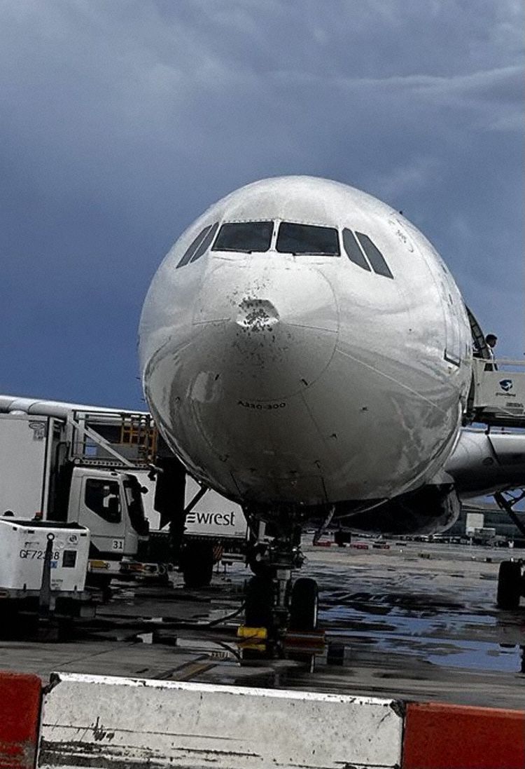 The radome of the aircraft
