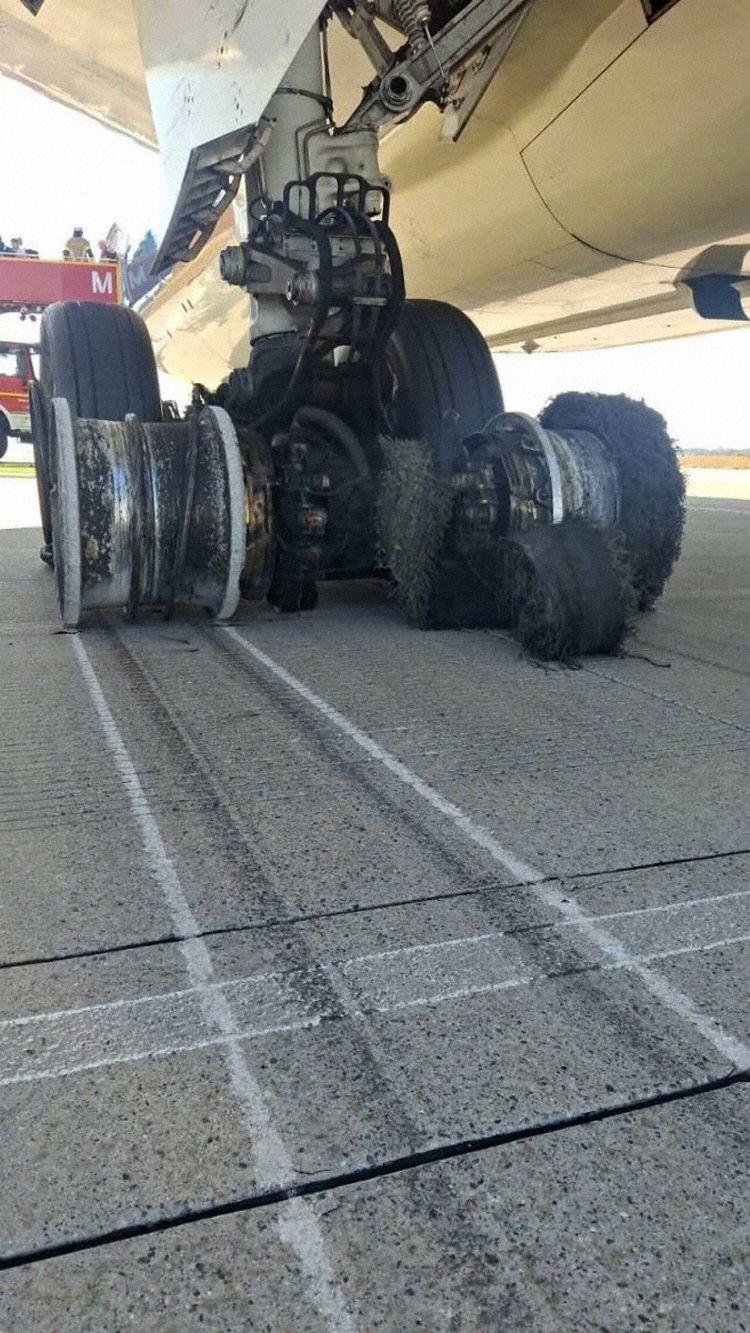 The tail seen after landing